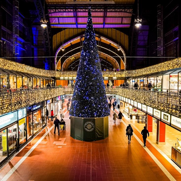 Dining out as an expat family in Portugal